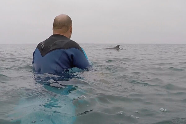 chris blabac surfing with dolphins at moonlight beach in encinitas