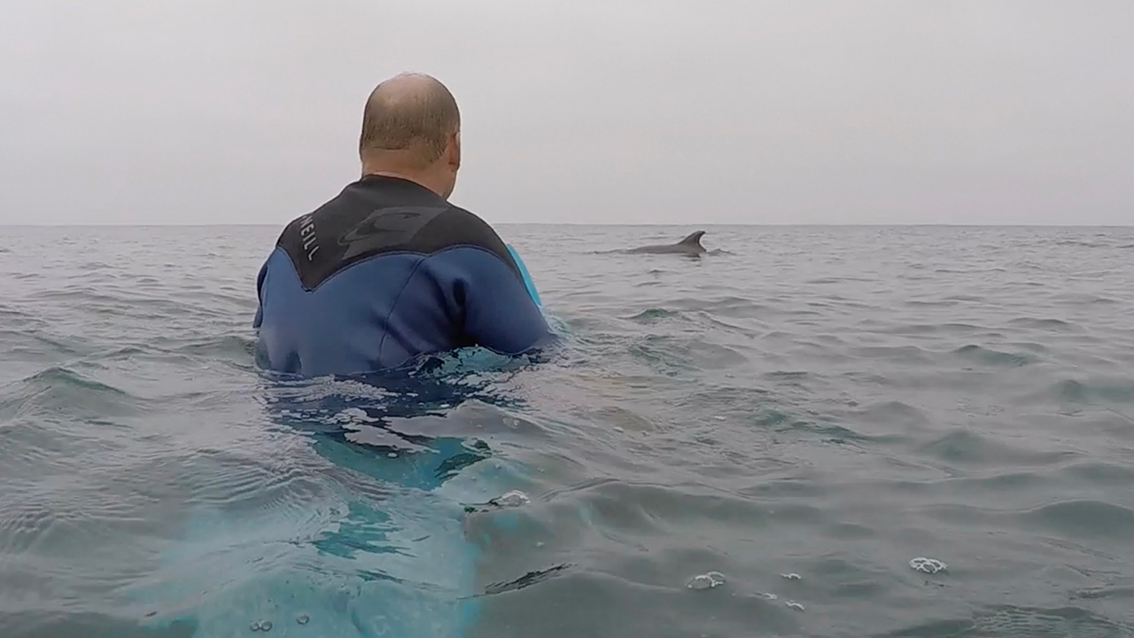 chris blabac surfing with dolphins at moonlight beach in encinitas