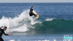 surfing fun waves in encinitas california