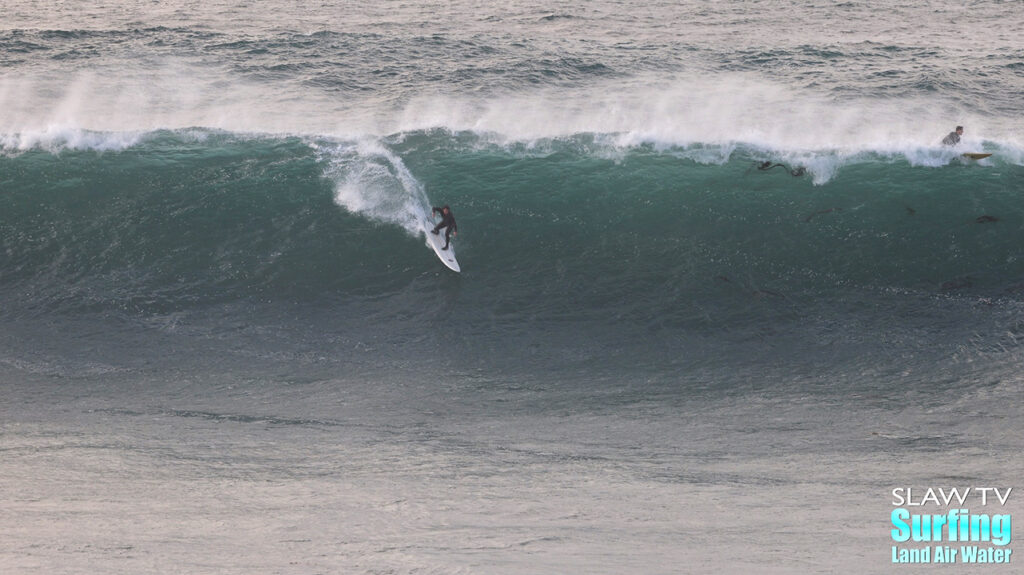 surfing big waves at la jolla cove with photos and video highlights