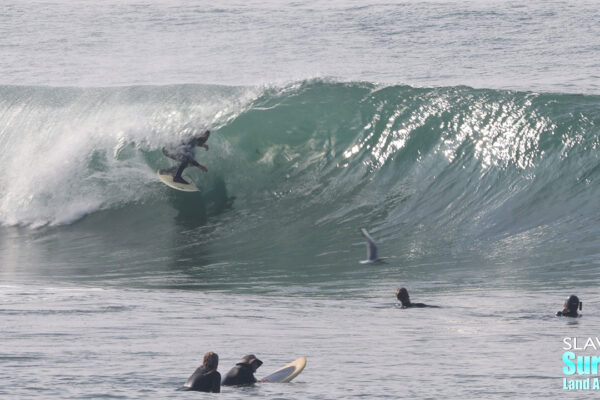 surfing barrels at la jolla reefs with photo and video highlights