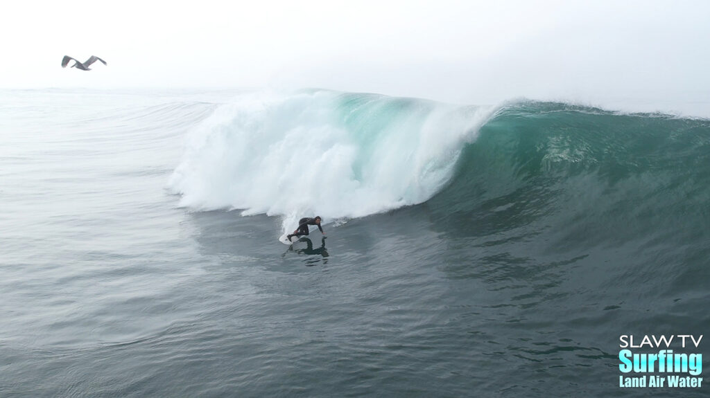 surfing the la jolla reefs with photos and video highlights